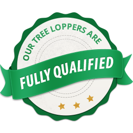 qualified_badge